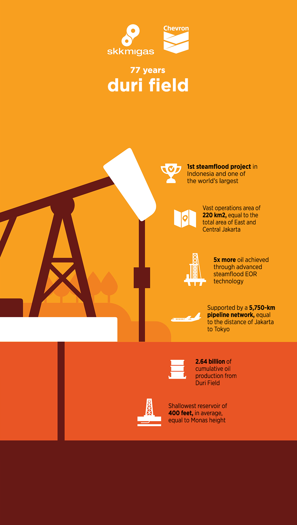 Duri Field Infographic Poster (English version)