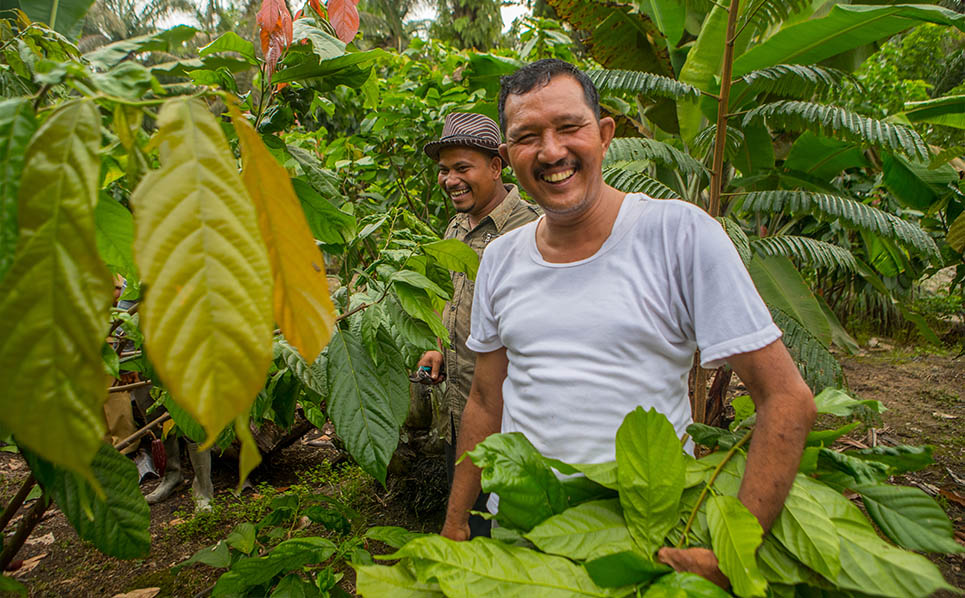 PRISMA partner at his cacao tree farm