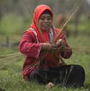 local economic development