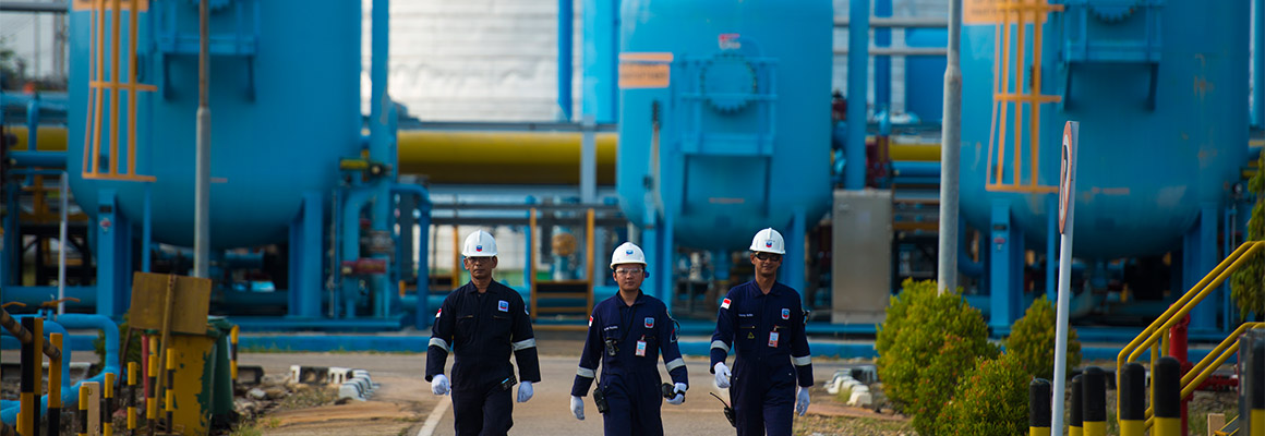 environment bioremediation